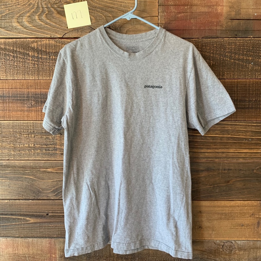 Patagonia Tee